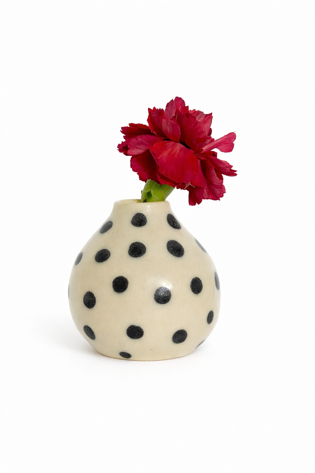 ⭑Polka dot vase⭑