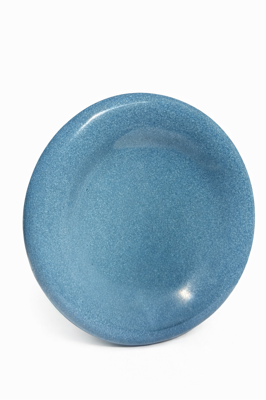 ⭑Denim blue dish⭑